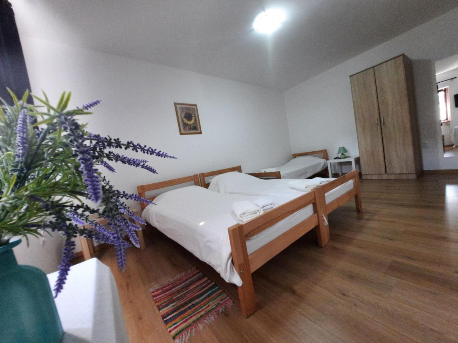 Apartmani Sunflower เซรมสกี คาร์ลอฟซี ห้อง รูปภาพ